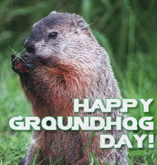 Happy Groundhog Day GIF
