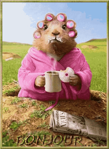 Happy Groundhog Day GIF