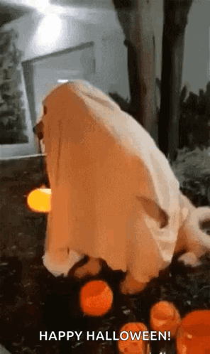 Happy Halloween GIF. This 296 x 498 animated GIF is part of our hantu collection. Related themes include ghost, halloween, happy. Created by…