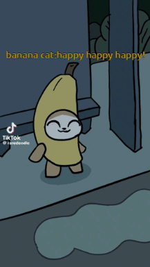 Happy Happy Happy Cat Banana Acident From Car Splashing Water GIF