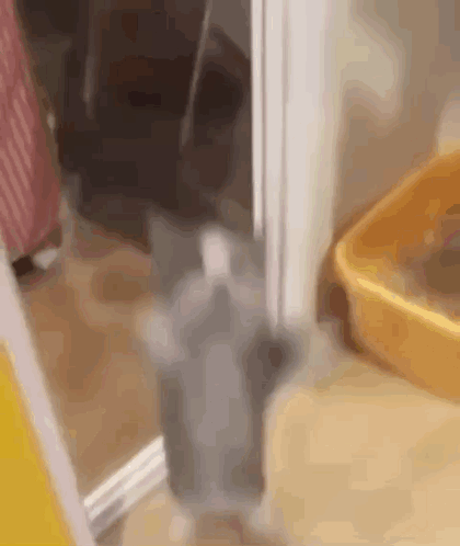 Happy Happy Happy Happy GIF