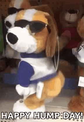 Happy Hump Day GIF