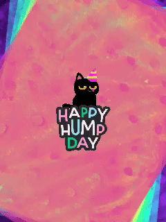 Happy Hump Day Good Morning Happy Hump Day GIF