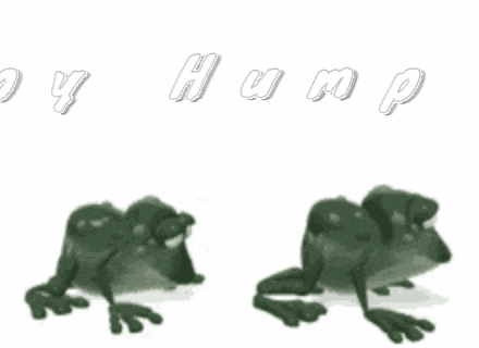Happy Hump Day Good Morning Happy Hump Day GIF