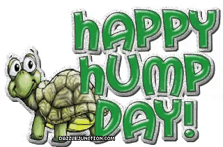 Happy Hump Day Wednesday GIF