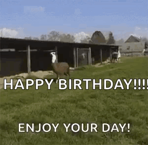 Happy Llamas GIF. This 300 x 294 animated GIF is part of our lhama cuspindo collection. Related themes include happy. Created by ADSFR1929. View the…