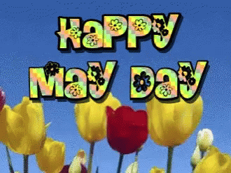 Happy May Day May Flowers GIF