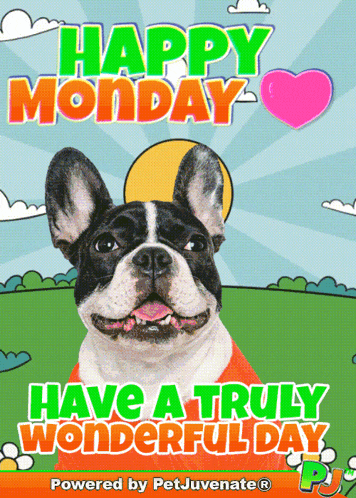 Happy Monday Good Morning Monday GIF