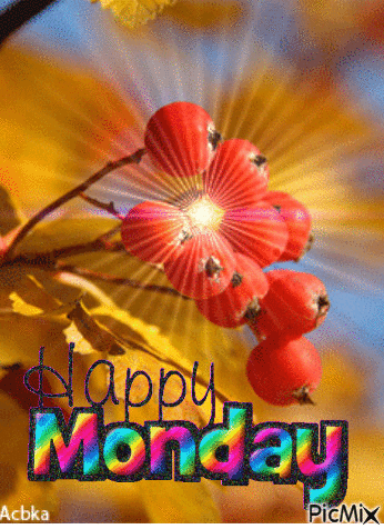 Happy Monday GIF. This 346 x 476 animated GIF is part of our montag morgen collection. Related themes include happy monday. Created by sobronxjourno. View…