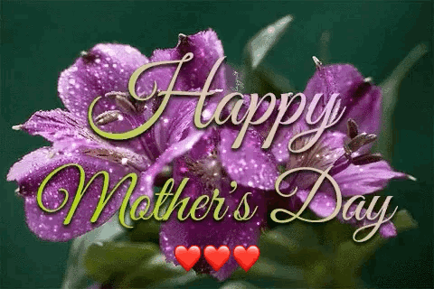Happy Mothers Day Flowers GIF