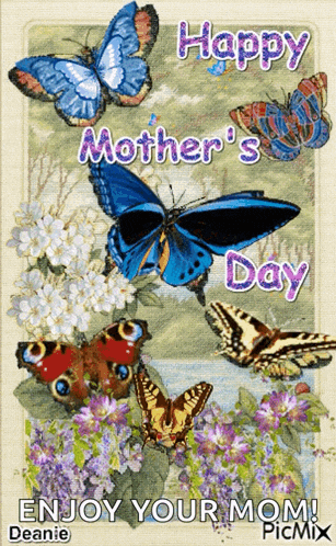 Happy Mothers Day Happy Mothers Day Funny GIF