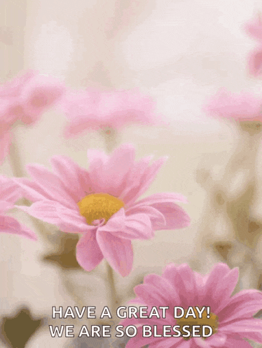 Happy Mothers Day Happy Mothers Day2022 GIF