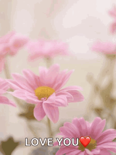 Happy Mothers Day Happy Mothers Day2022 GIF. This 374 x 498 animated GIF is part of our fondos de pantalla collection. Related themes include happy mothers…