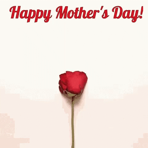 Happy Mothers Day Moms Day GIF. This 480 x 480 animated GIF is part of our muttertag collection. Related themes include flower, happy mothers day, heart…