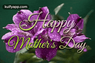 Happy Mothers Day Wishes - Sparkling Flowers.Gif GIF. This 360 x 240 animated GIF is part of our muttertag collection. Related themes include mothers day…