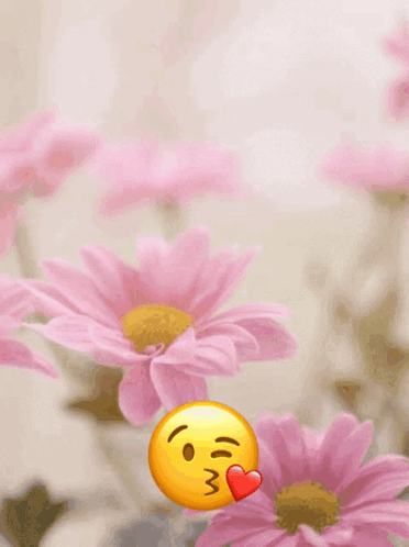 Happy Mothers GIF