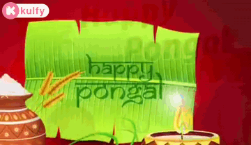 Happy Pongal.Gif GIF. This 360 x 209 animated GIF is part of our bhogi wishes collection. Created by kulfy. View the original animation, share it, or browse…
