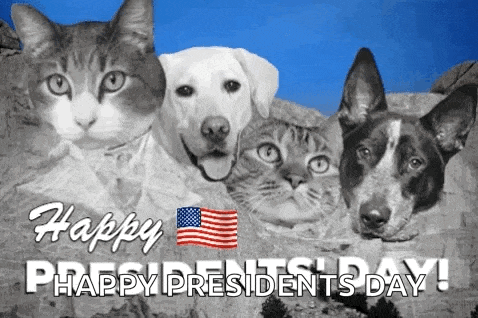 Happy Presidents Happy Presidents Day GIF