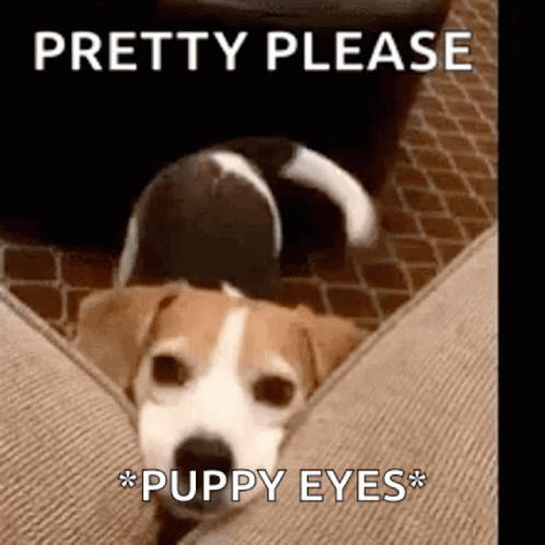 Happy Pretty Please GIF