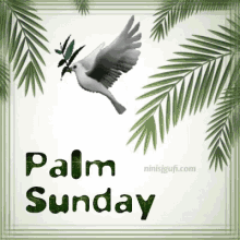 Happy Psalm Sunday GIF