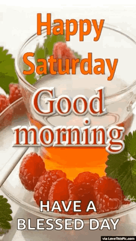 Happy Saturday Good Morning GIF