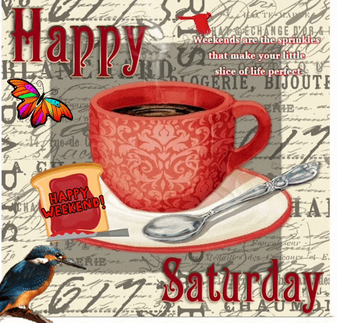 Happy Saturday GIF