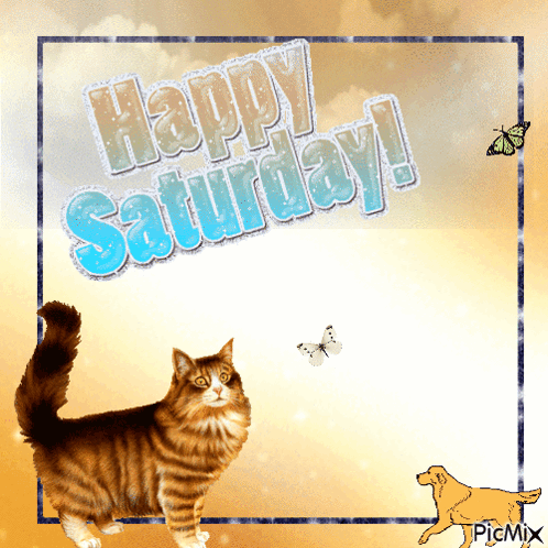 Happy Saturday GIF. This 498 x 498 animated GIF is part of our lustige bilder samstag collection. Related themes include happy saturday. Created by…