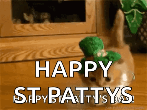 Happy St Patricks Day GIF