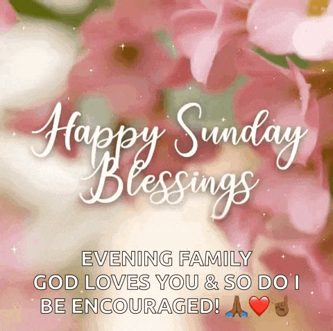 Happy Sunday GIF