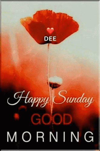 Happy Sunday Flower GIF