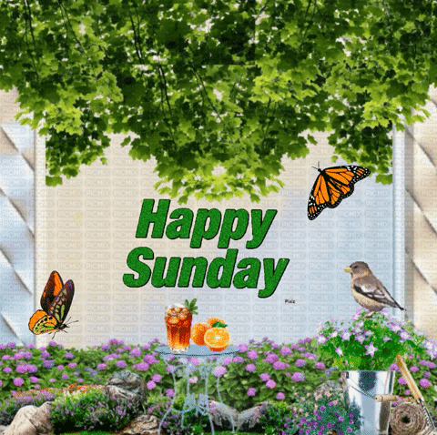 Happy Sunday GIF