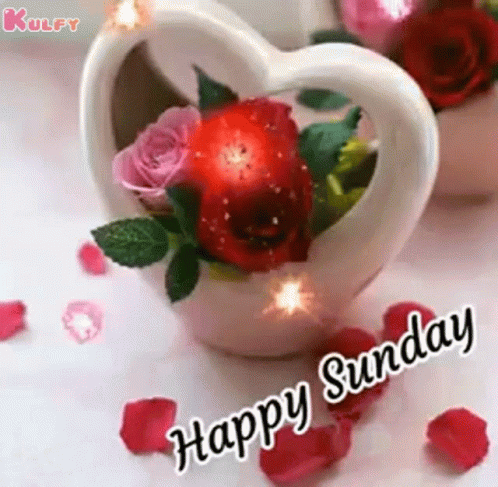 Happy Sunday Good Morning GIF