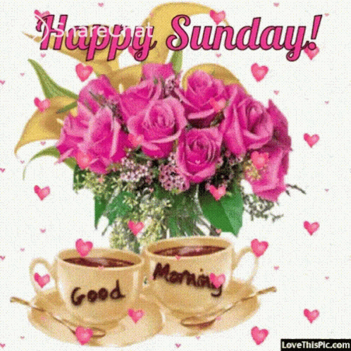 Happy Sunday Goodmorning GIF