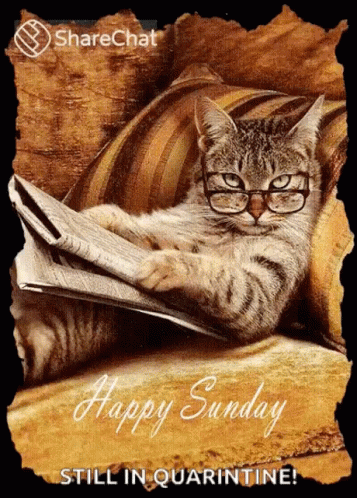 Happy Sunday Have A Great Weekend GIF