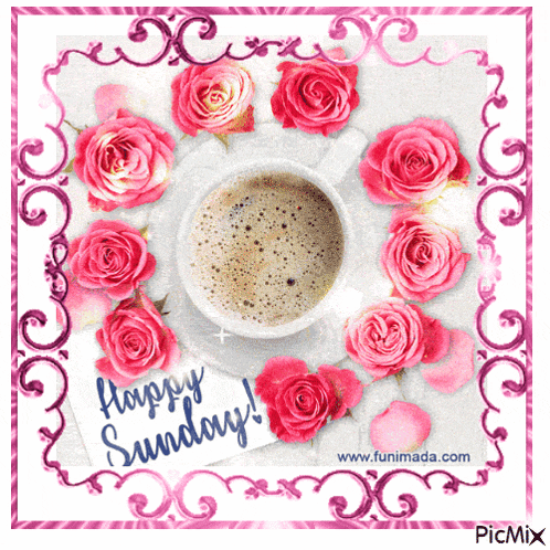 Happy Sunday GIF