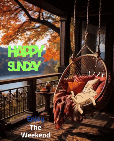 Happy Sunday GIF