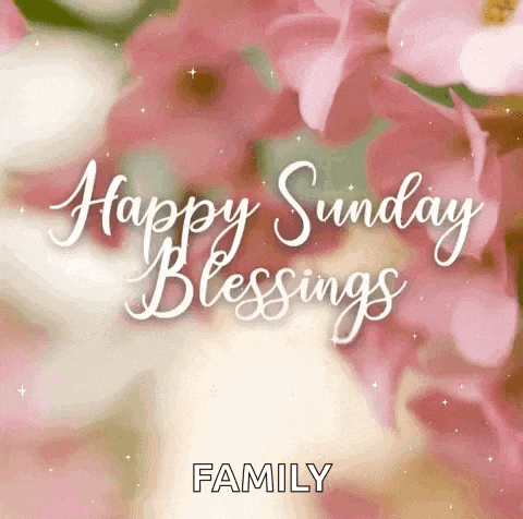 Happy Sunday GIF
