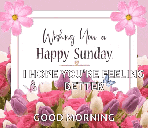 Happy Sunday GIF