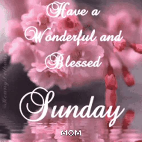 Happy Sunday GIF. This 498 x 498 animated GIF is part of our guten morgen sonntag collection. Related themes include happy sunday. Created by MeeKo25. View…