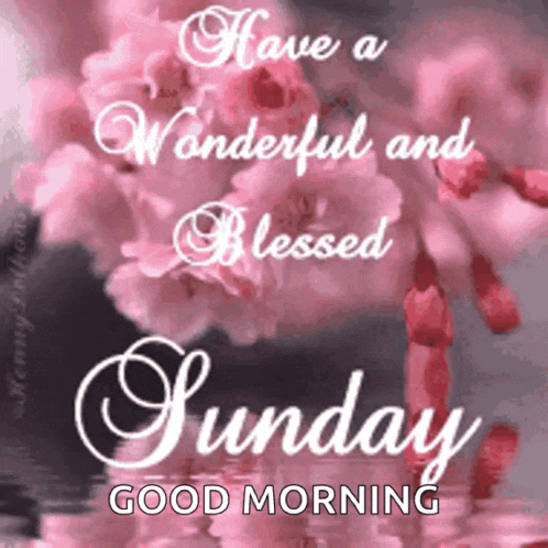 Happy Sunday GIF
