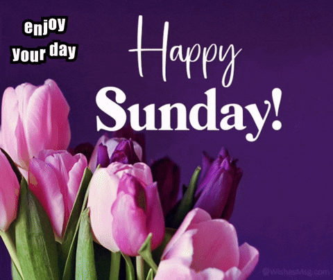 Happy Sunday GIF