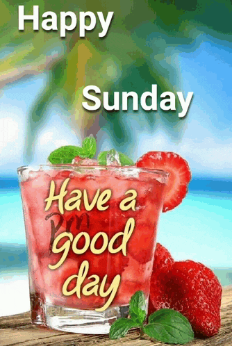 Happy Sunday GIF