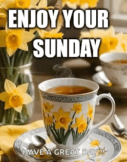 Happy Sunday GIF