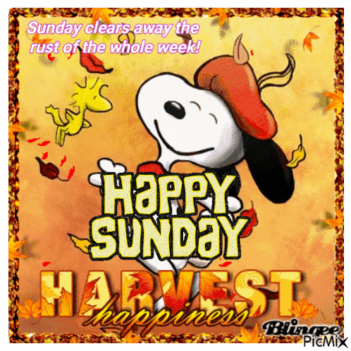 Happy Sunday GIF. This 498 x 498 animated GIF is part of our guten morgen sonntag collection. Related themes include happy sunday. Created by sobronxjourno…