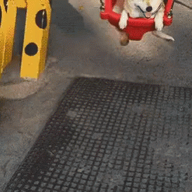 Happy Swing GIF. This 274 x 274 animated GIF is part of our shiba inu smile collection. Related themes include happy, smile. View the original animation…