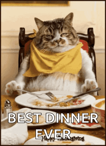 Happy Thanks GIF