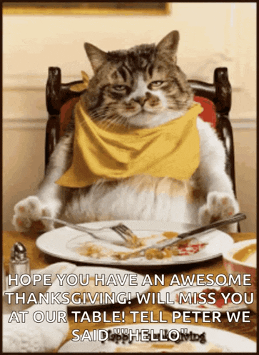 Happy Thanks GIF