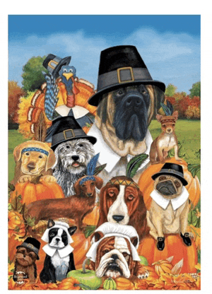 Happy Thanksgiving From Buddy And His Friends Meme
