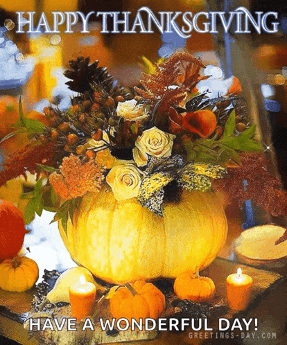 Happy Thanksgiving Happy Thanksgiving Friends GIF