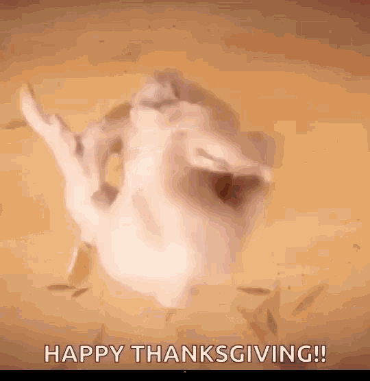 Happy Thanksgiving Happy Turkey Day GIF